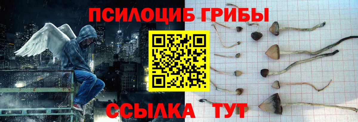 Псилоцибиновые грибы GOLDEN TEACHER  Вход с VPN  купить наркотики сайты  Галлюциногенные грибы Cubensis  Назарово 